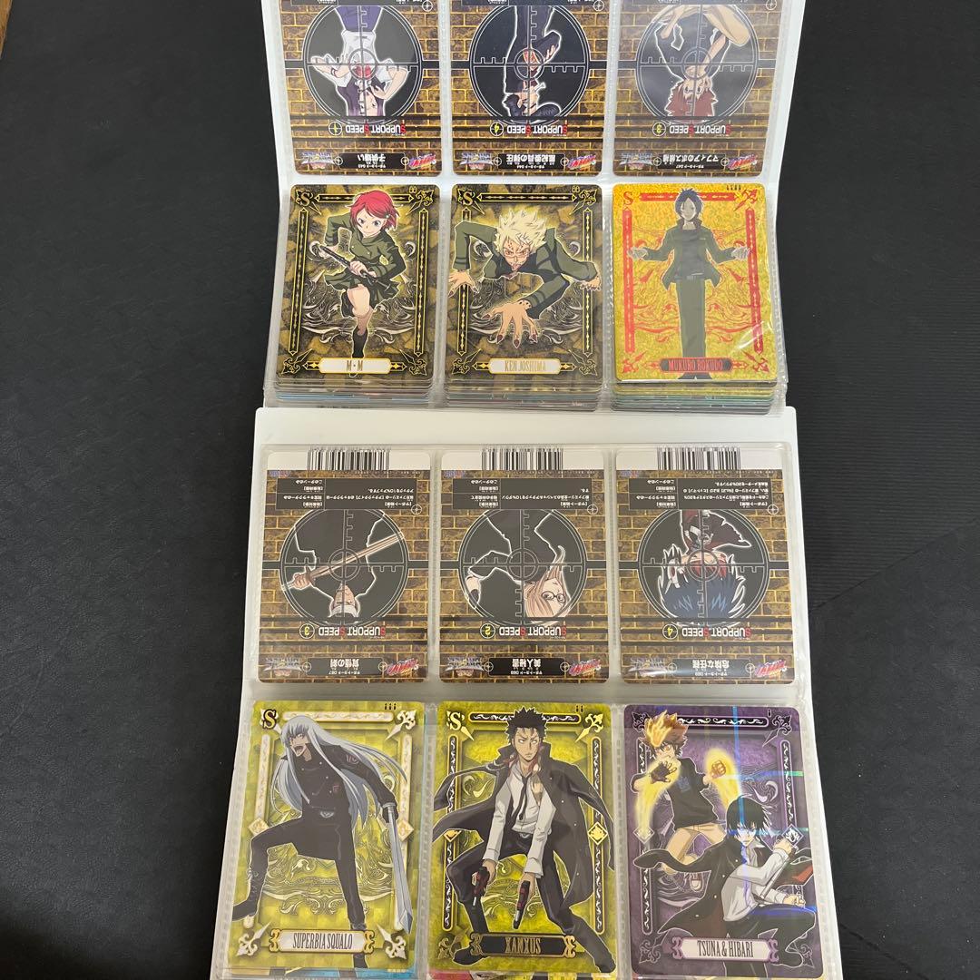 家庭教師ヒットマンREBORN　サザンクロスバトル　カード　まとめ売り