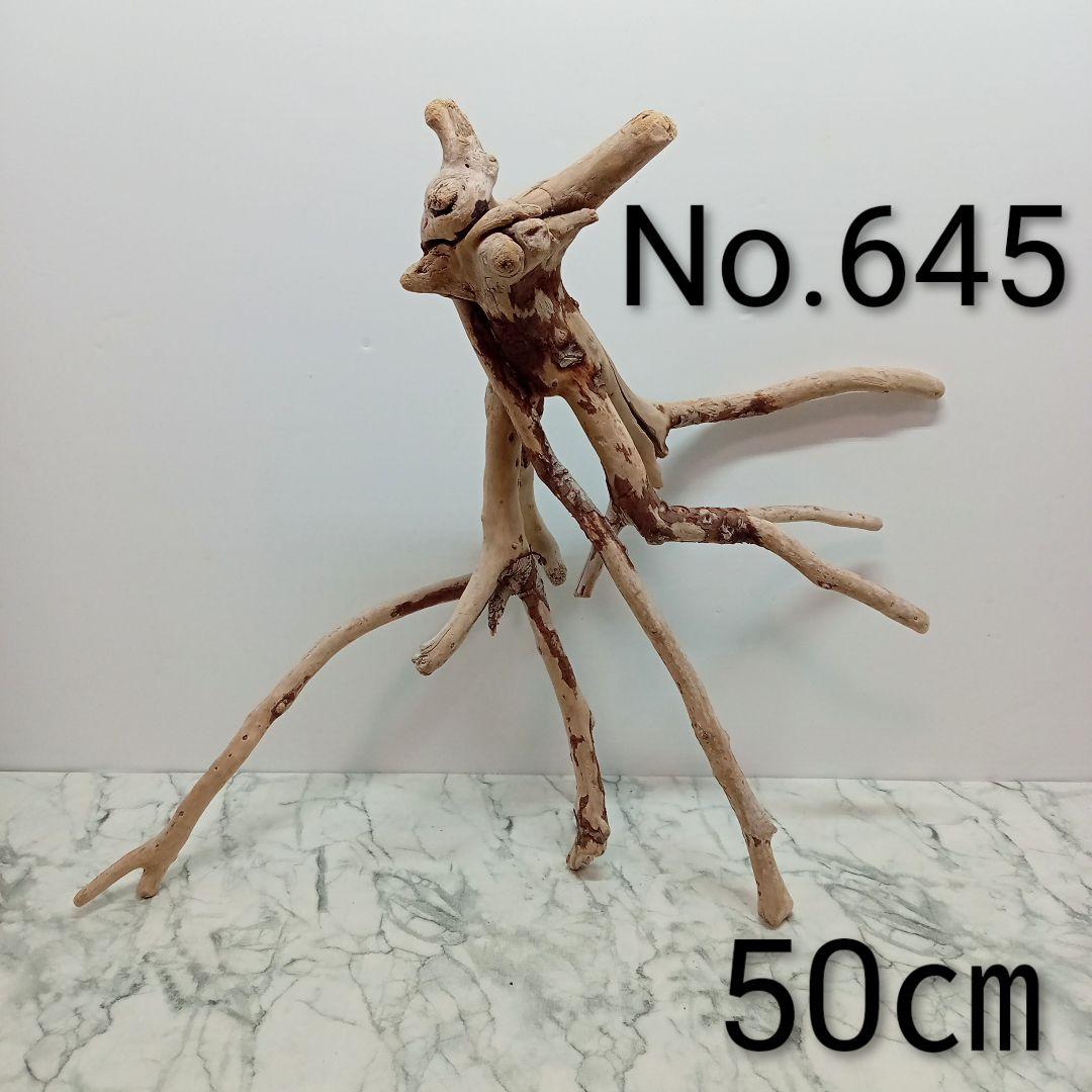 ！専用！アク抜き済み流木【645】セール