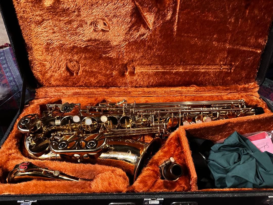 Yanagisawa アルトサックス