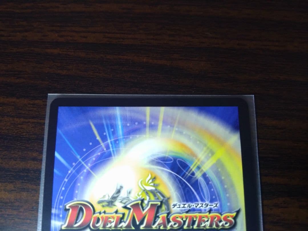 シャコガイル　a 2枚