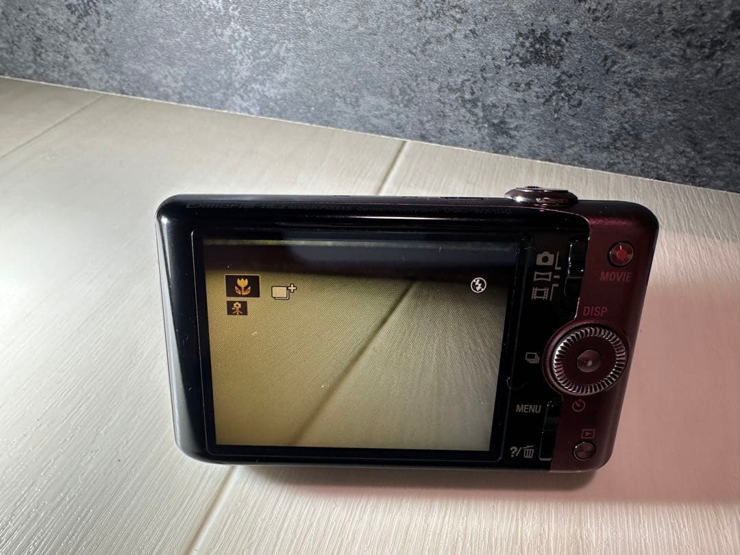 デジタルカメラ SONY Cyber-shot DSC-WX100