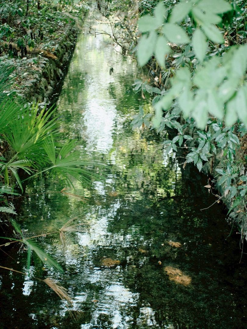【作例有り】MAMIYA-SEKOR C80mm F2.8＋gマウントアダプター
