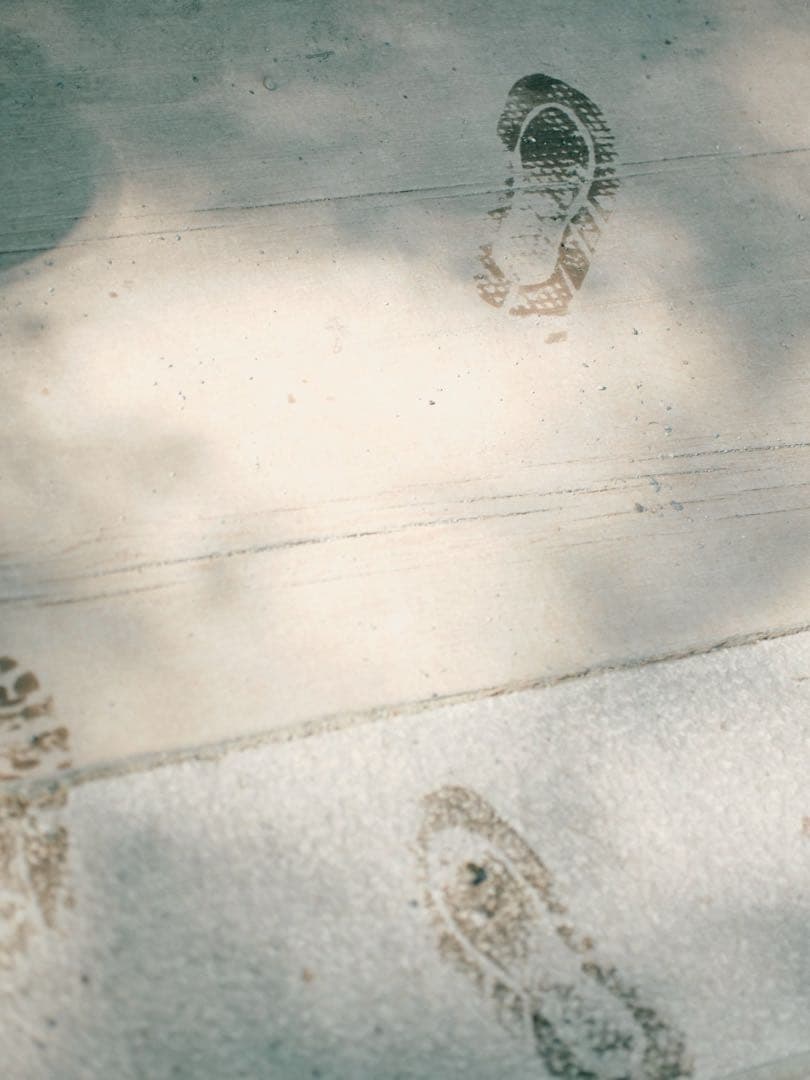 【作例有り】MAMIYA-SEKOR C80mm F2.8＋gマウントアダプター