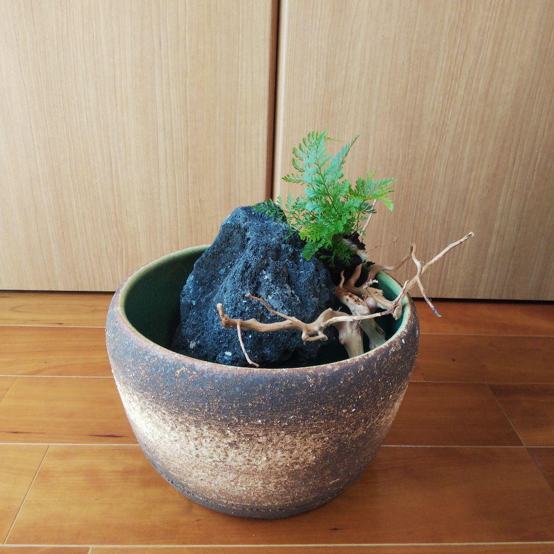 メダカ鉢　金魚鉢