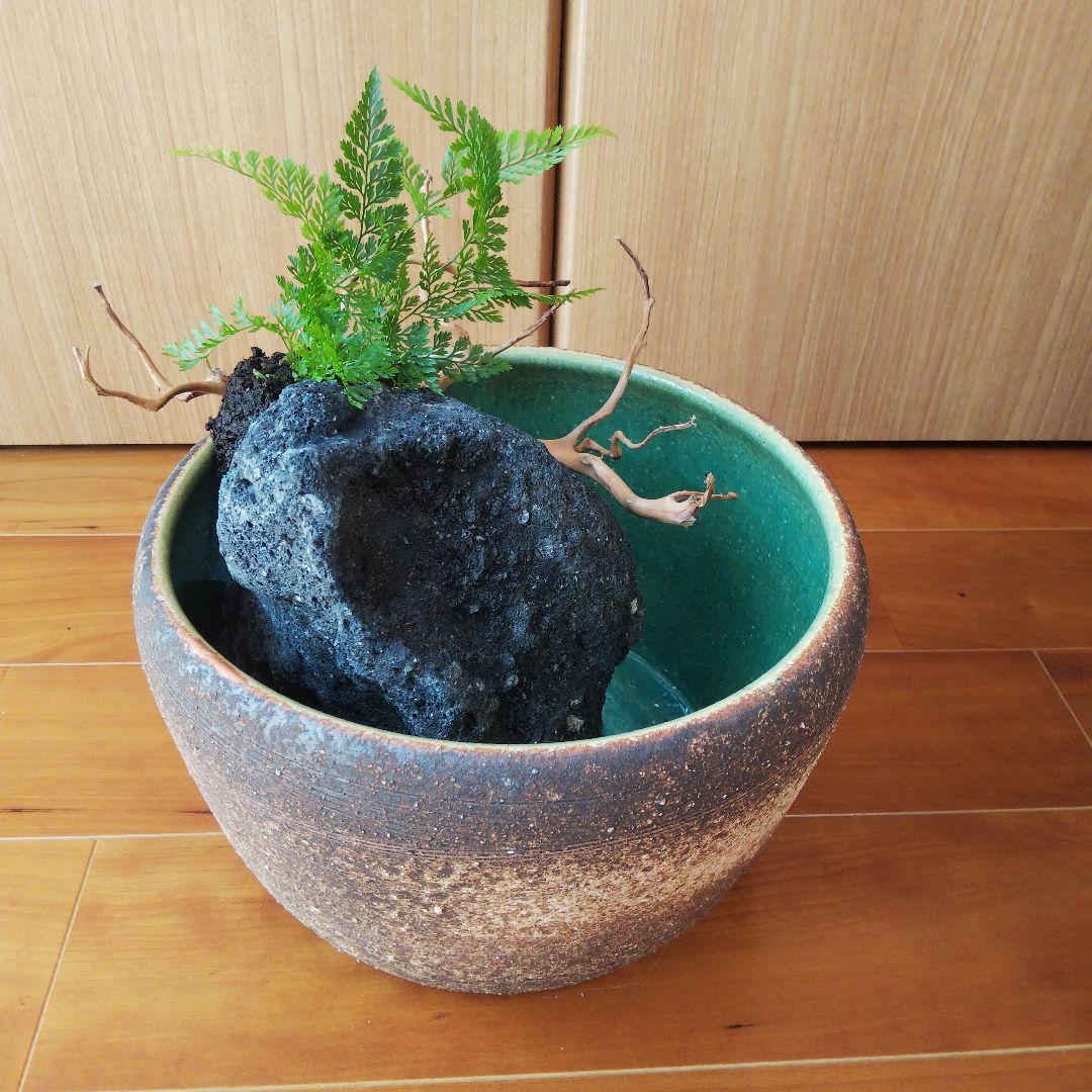 メダカ鉢　金魚鉢