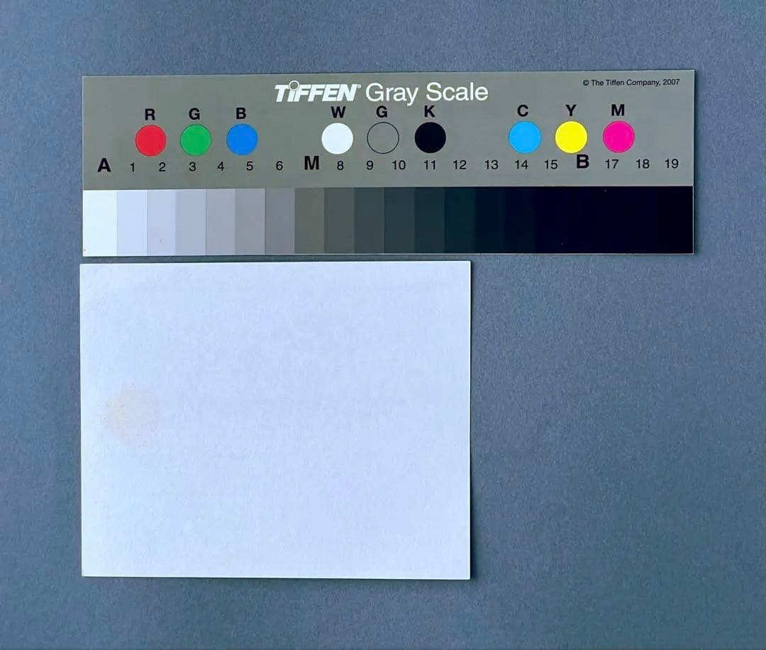 魂のピアニストFujiko Hemming版画フジ子・ヘミング 絵画 音楽 限定