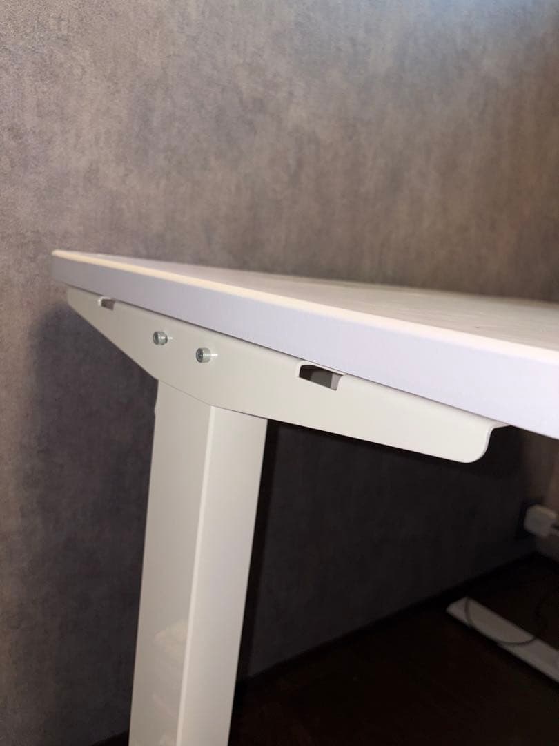 【きりん】Flexispot EF1W-JA 電動昇降デスク 脚のみ