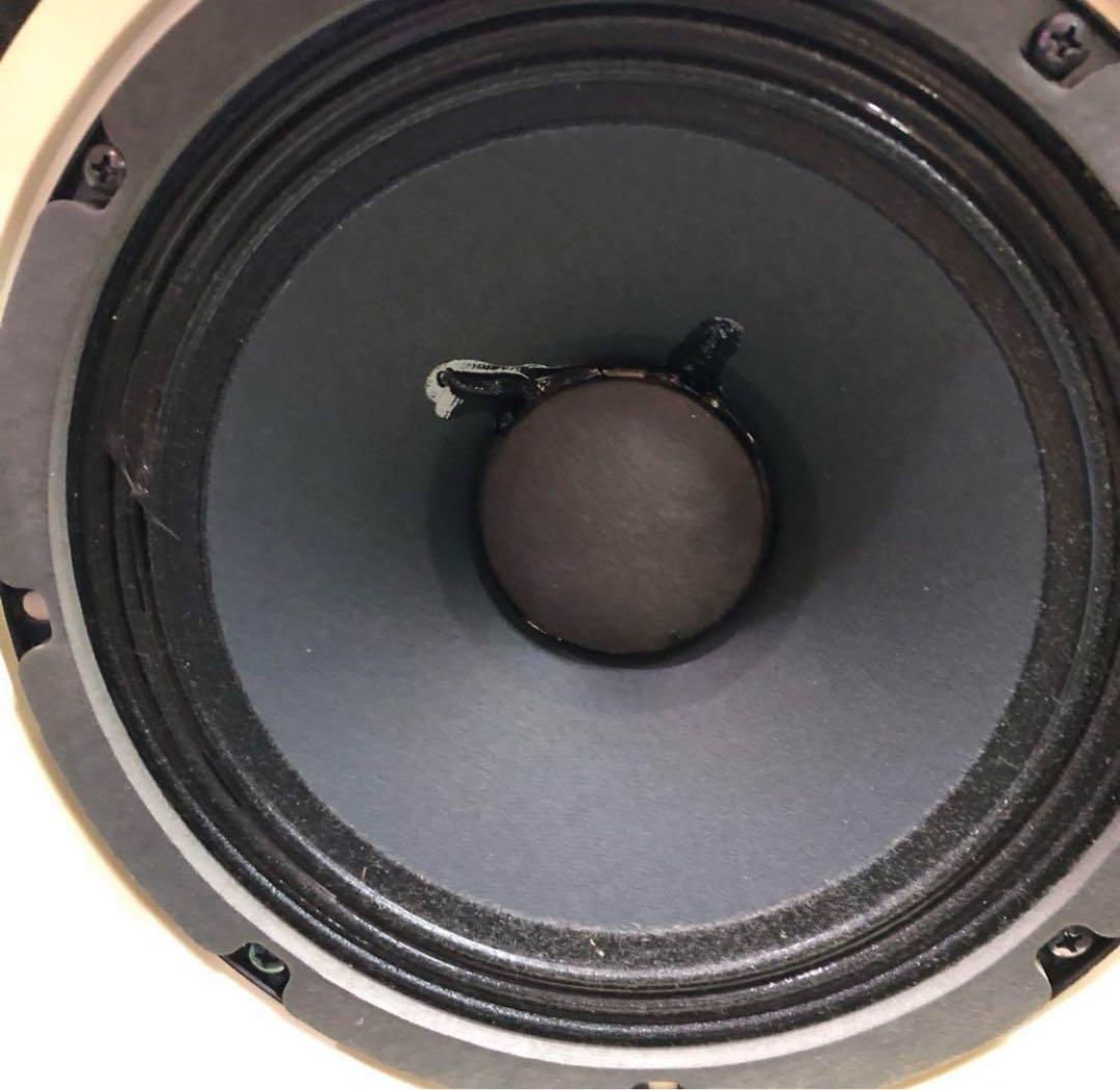 EV SX80 スピーカー ホワイト 動作確認済み