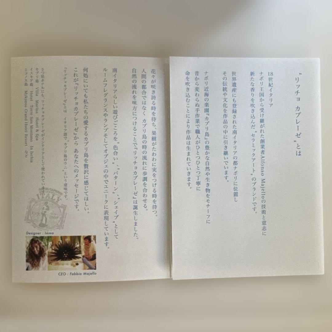 RICCIO CAPRESE 緑色ガラス　小物入れ