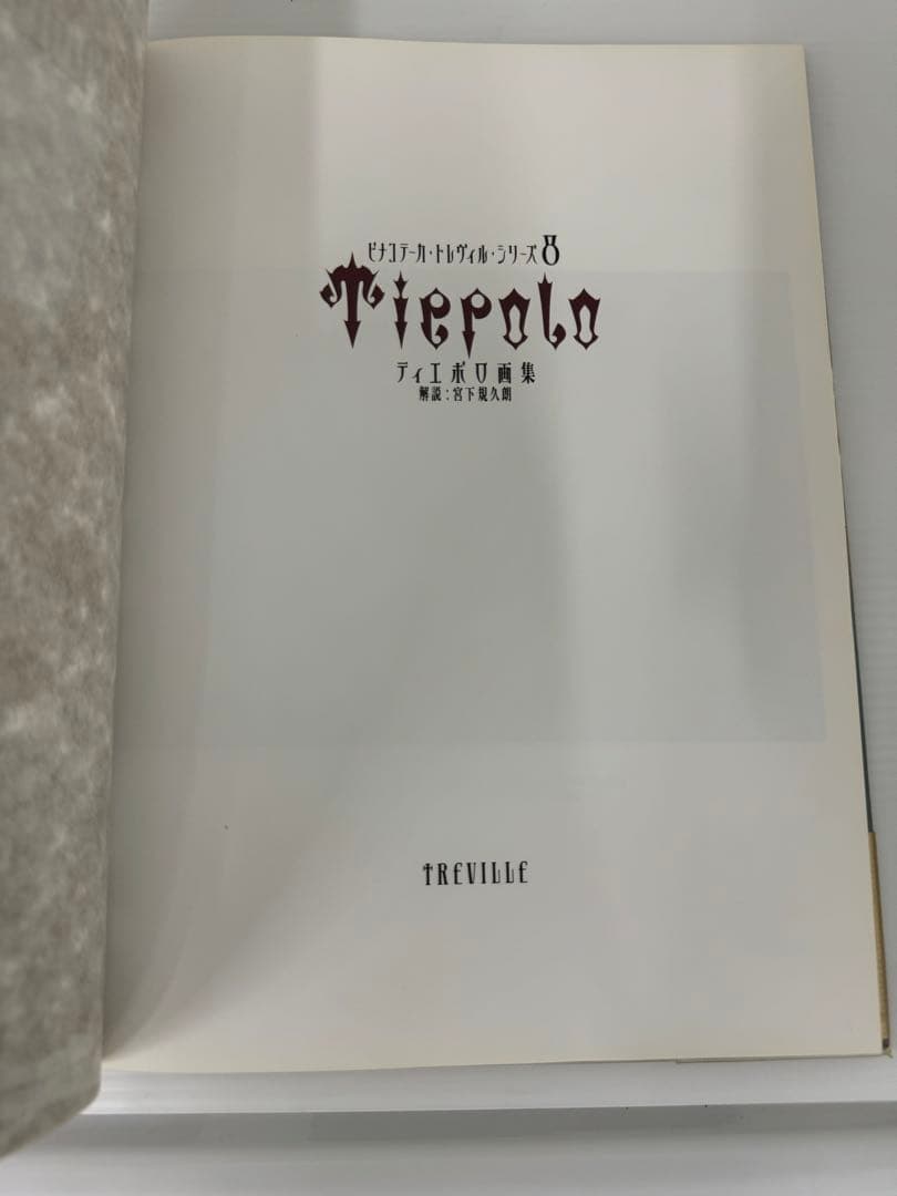 【絶版・美品】トレヴィル画集 全10巻セット