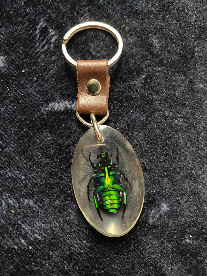 昆虫標本キーホルダー 緑色