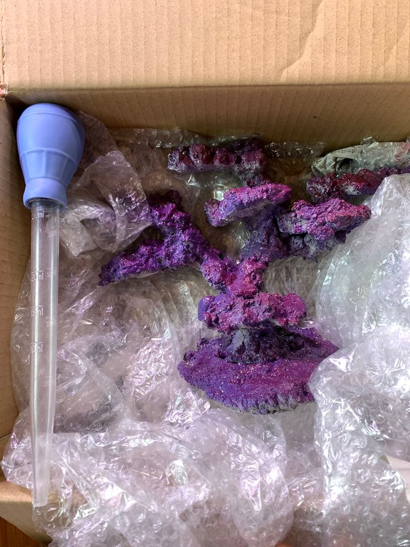 RedSea REEFER170オーバーフロー水槽フルセット 海水水槽