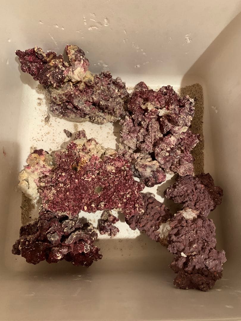 RedSea REEFER170オーバーフロー水槽フルセット 海水水槽