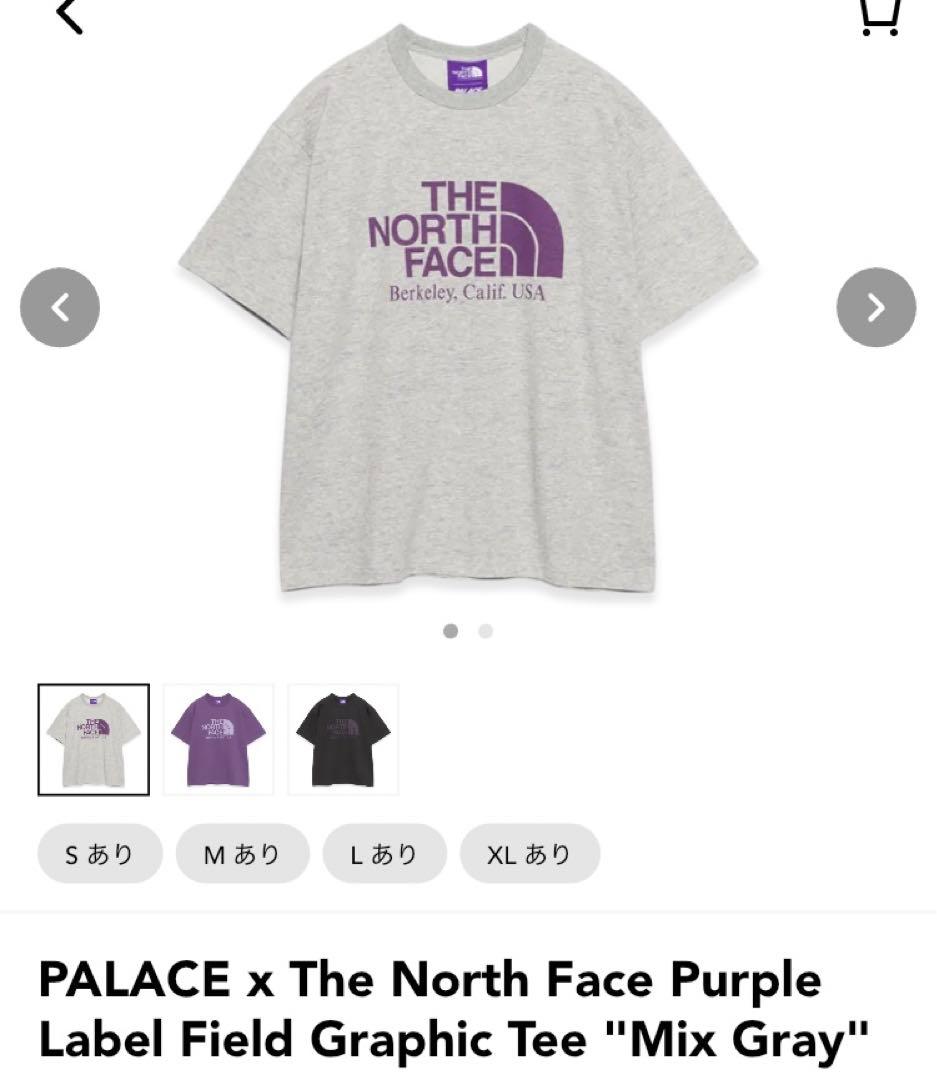 S palace north face tee Tシャツ　25awノースフェイス