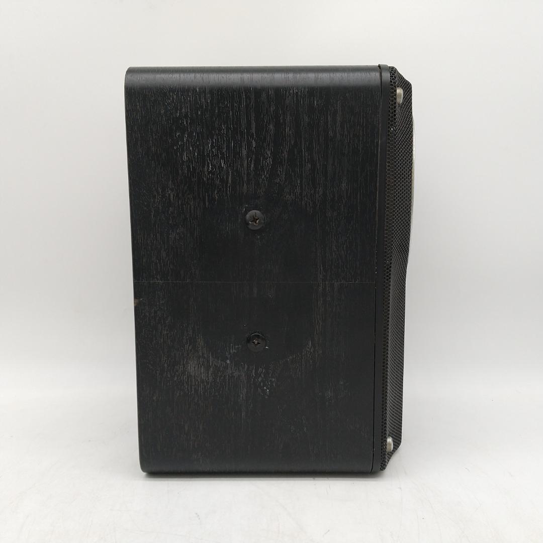 2893番 エクシング JOYSOUND × UGA CS-02 ペアスピーカー