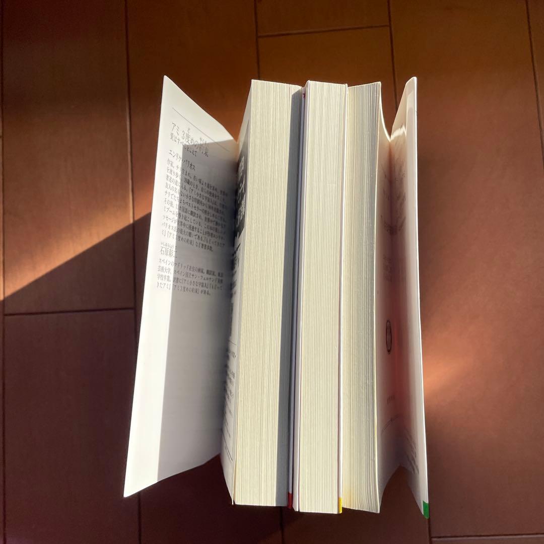 アミ小さな宇宙人　もどってきたアミ　アミ３度目の約束　さくらももこ　全巻