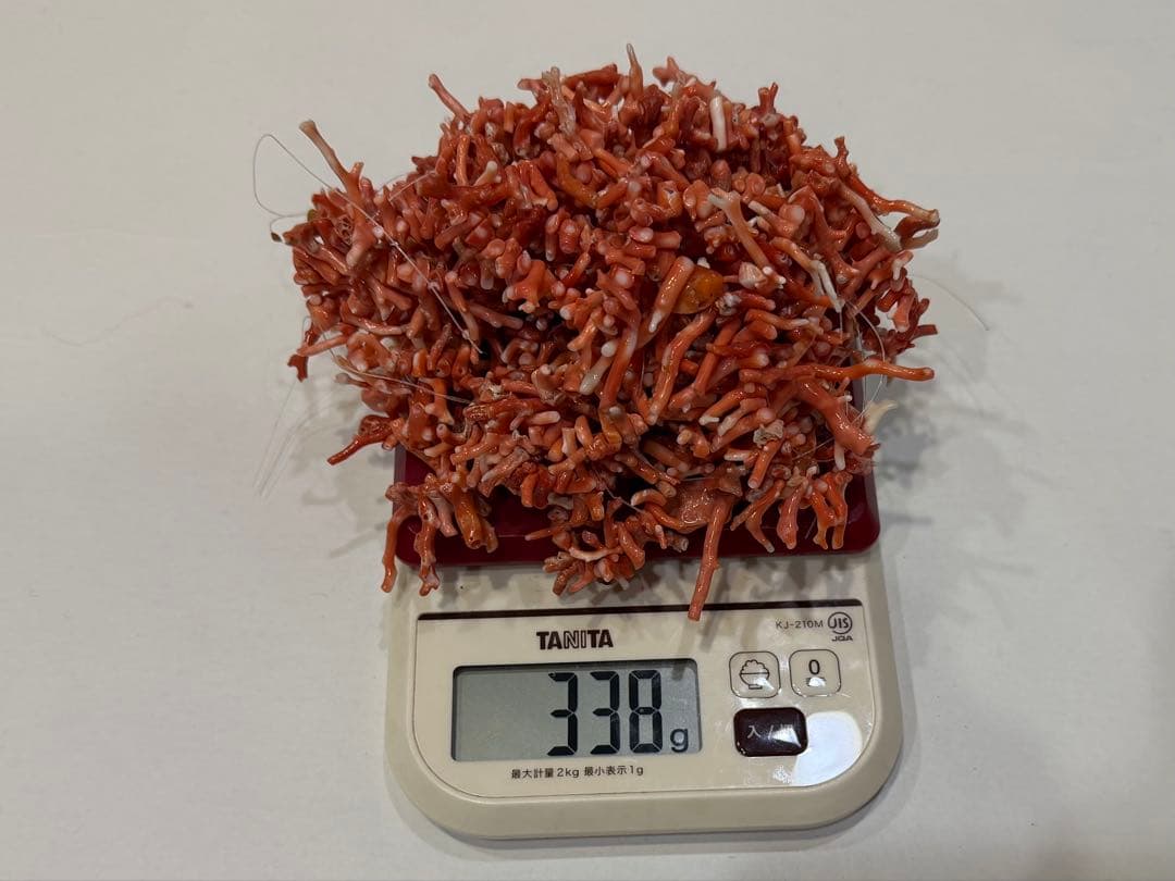 \"希少\" 珊瑚　ネックレス