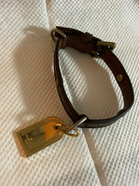 ルイヴィトン 首輪