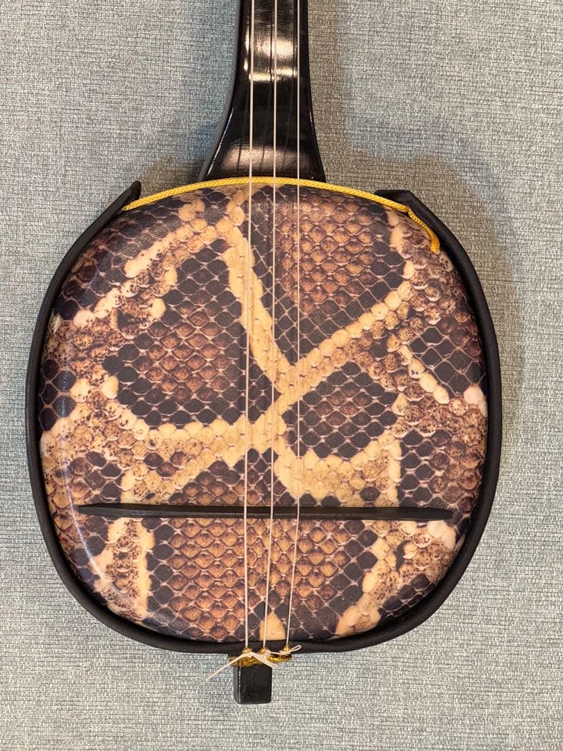 495＊三線　練習用　和楽器　沖縄三線　蛇柄　ケース付き　蛇皮ではありません