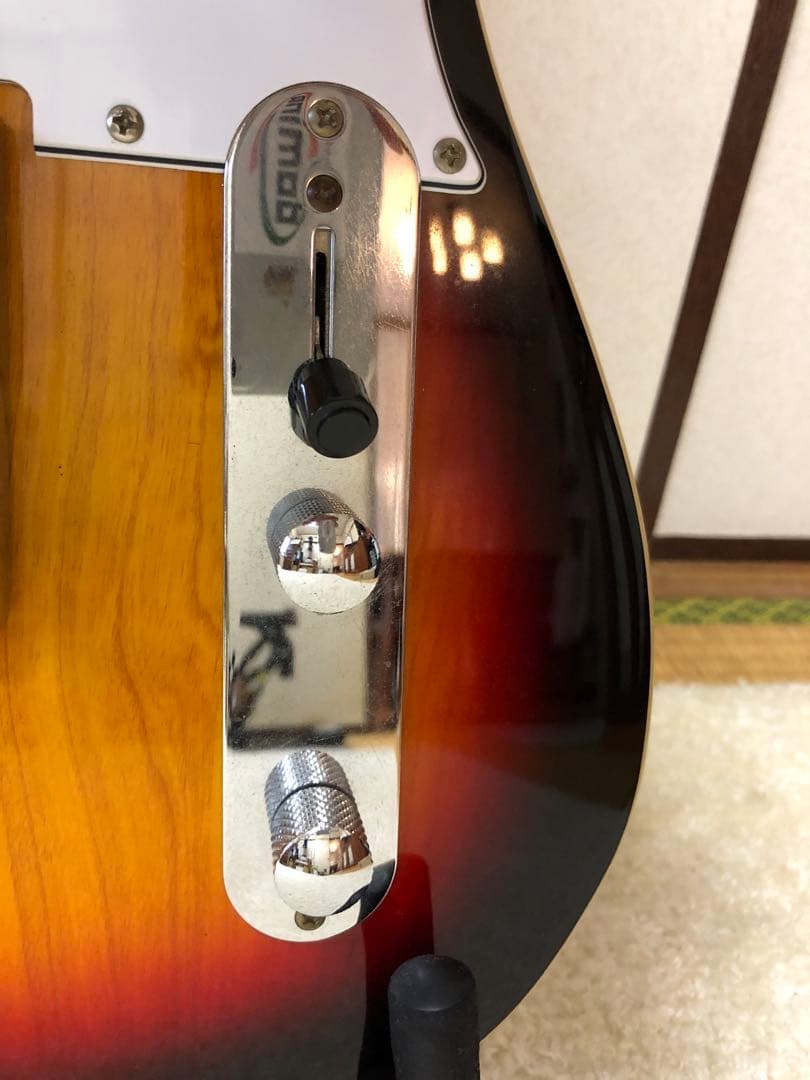 Bacchus バッカス　テレキャスタータイプ　BTC-1R 3TS