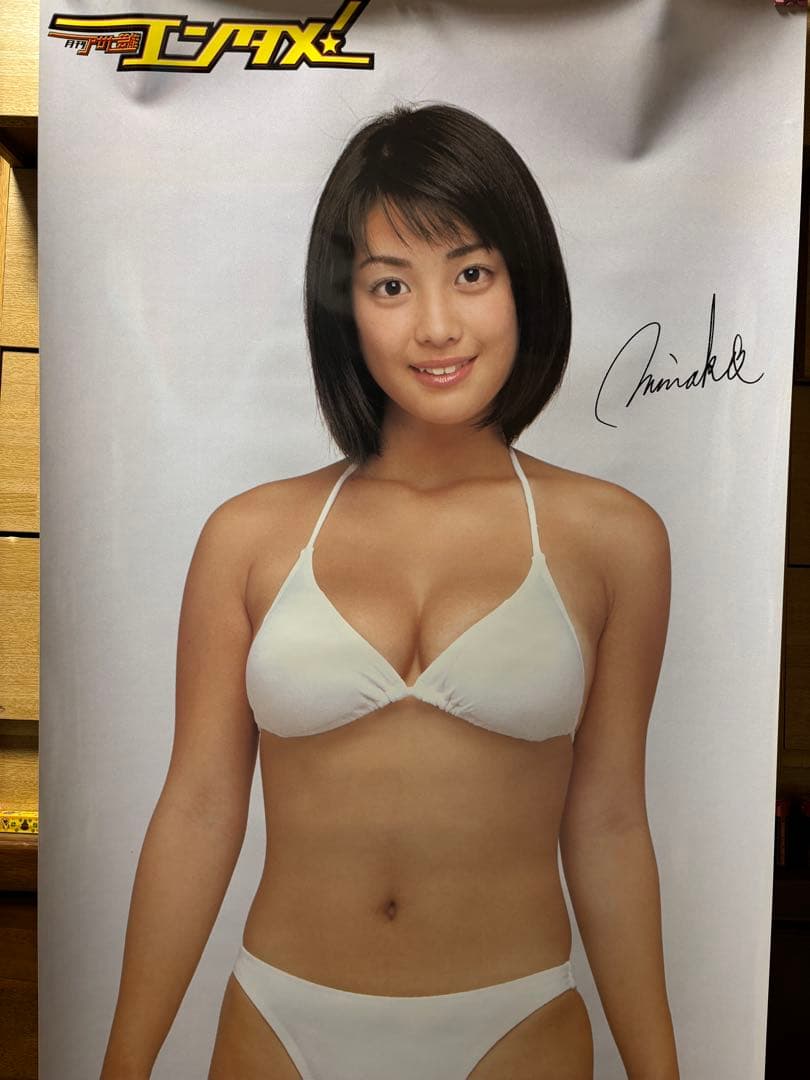 小向美奈子　白ビキニ ポスター