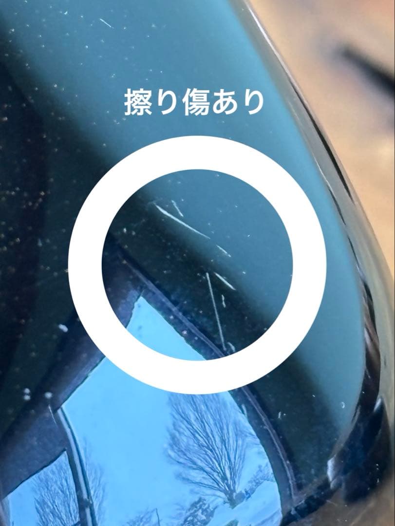 紅葉蒔絵 中棗 髟休斉造 抹茶碗 茶道具 共箱