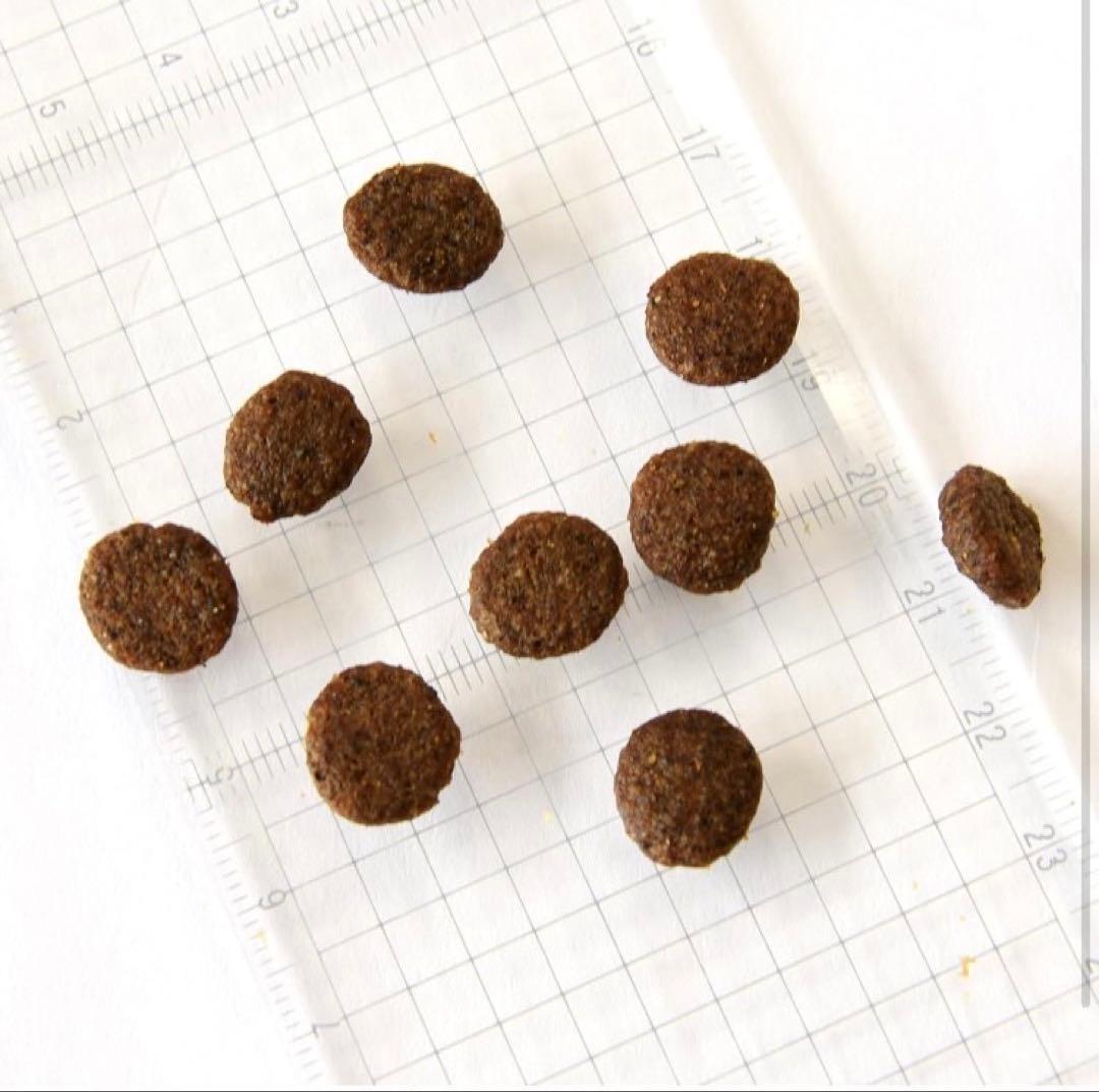 ドッグフード erilal@