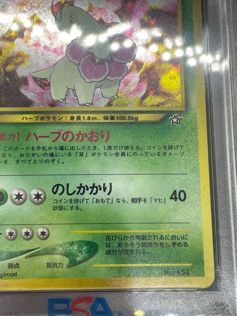 メガニウム 旧裏　psa9 渦あり　プレミアムファイル