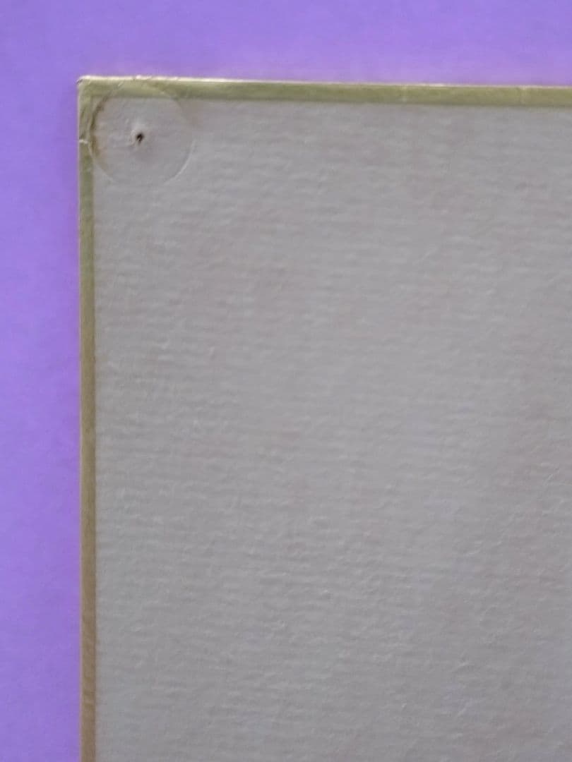 斉藤由貴 直筆サイン色紙 & 額装 ブロマイド