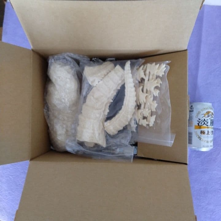 ゴジラ 1954 初代 ゴジラ Large SHINZEN 造形研究所