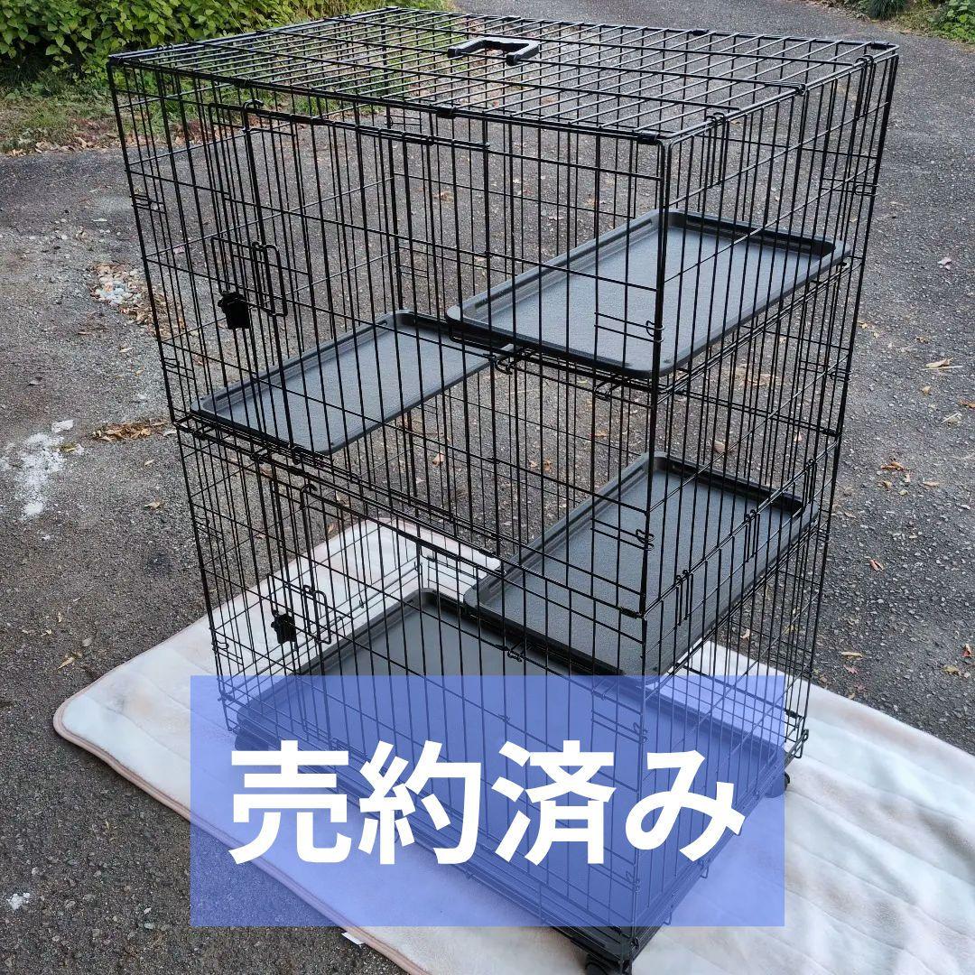 2日間使用 猫用大型ケージ Amazonベーシック品 キャットケージ