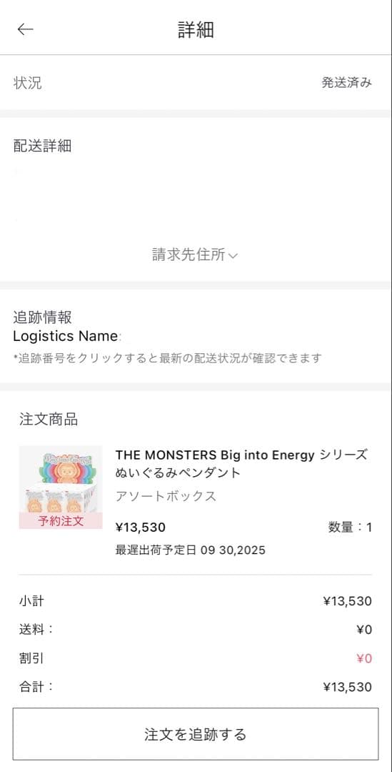 正規品 ラブブ BIGINTO ENERGY ID/本我 シークレット