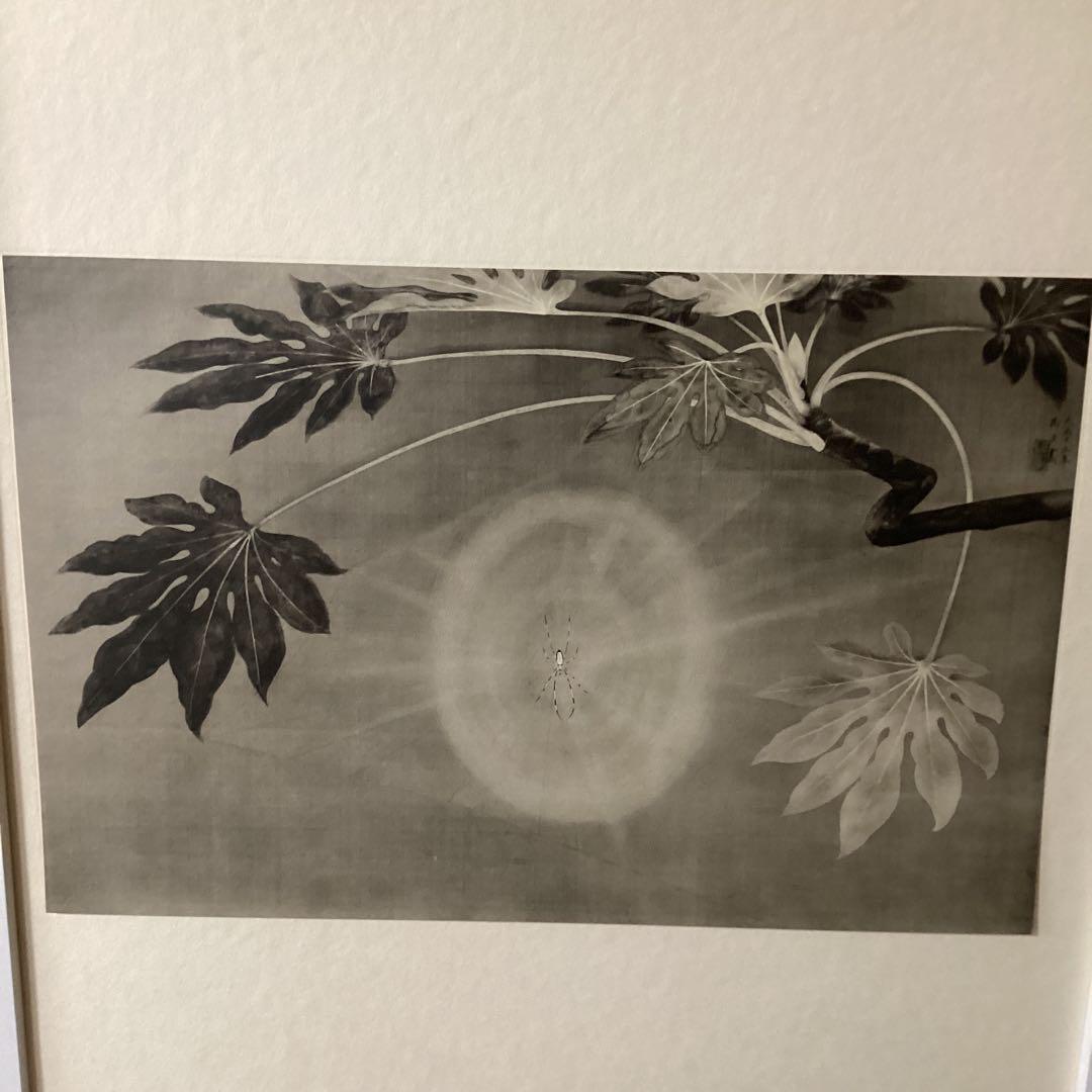 天才画家　速水御舟作品集大作編　便利堂監修NO 17 【昆虫二題葉蔭魔手】