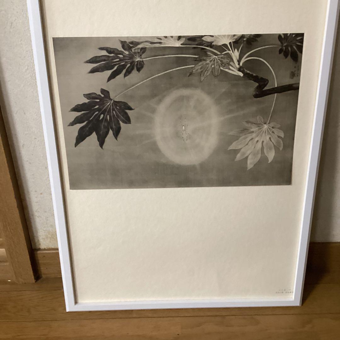 天才画家　速水御舟作品集大作編　便利堂監修NO 17 【昆虫二題葉蔭魔手】