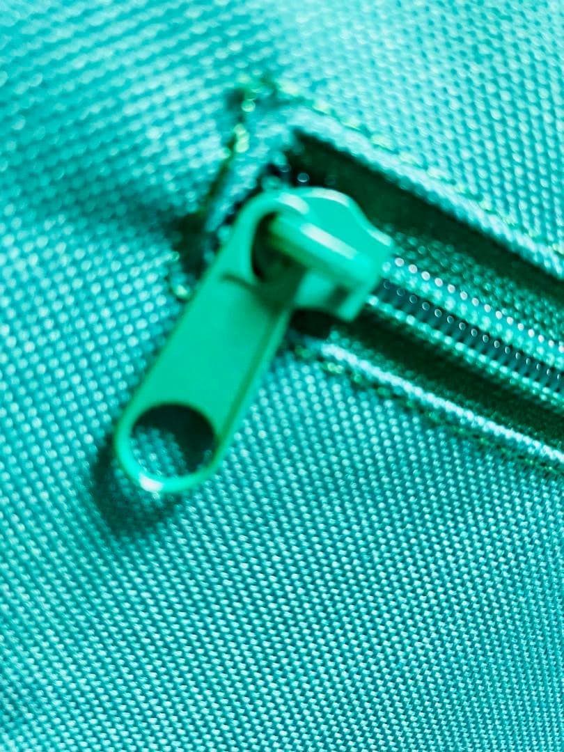 Whole Foods Market キャリーカート トロリーカート　グリーン