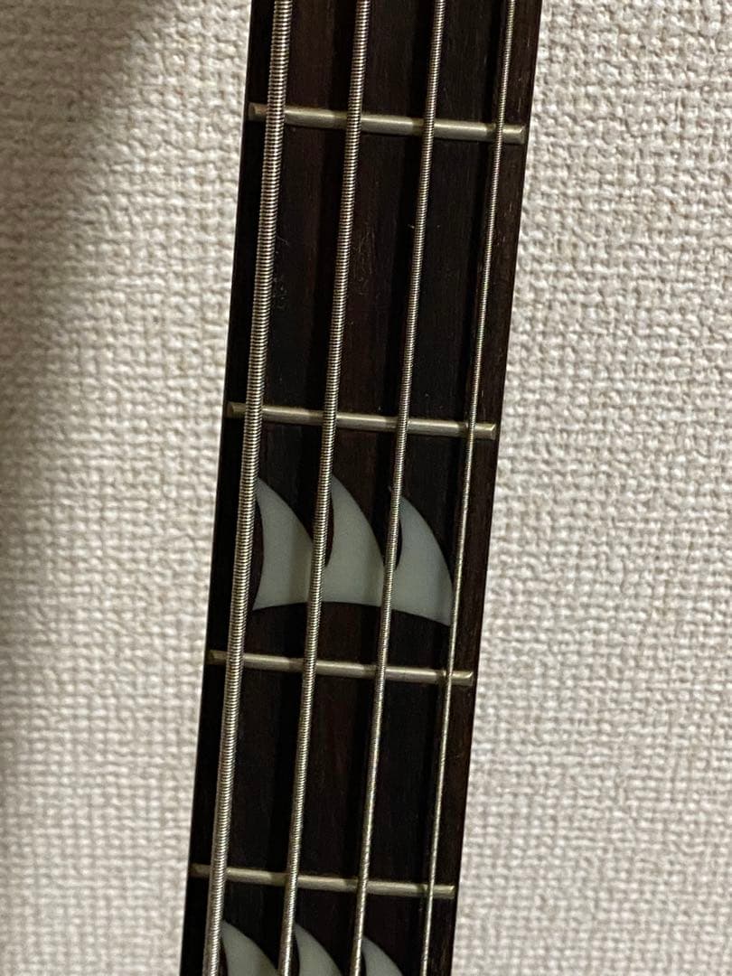 ★★★Cort TM stevens funk machine レア品　希少