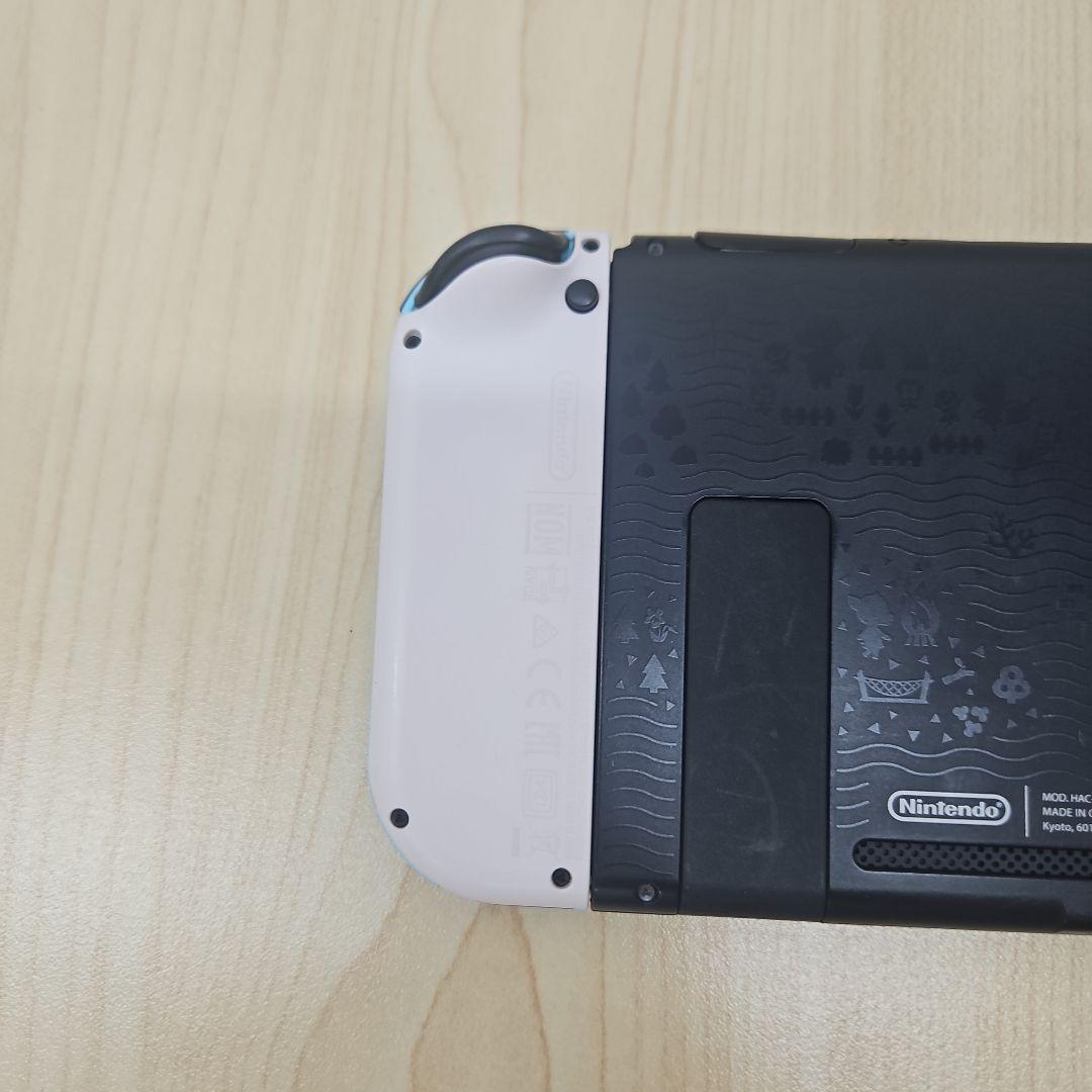Nintendo Switch ニンテンドースイッチ あつまれどうぶつの森