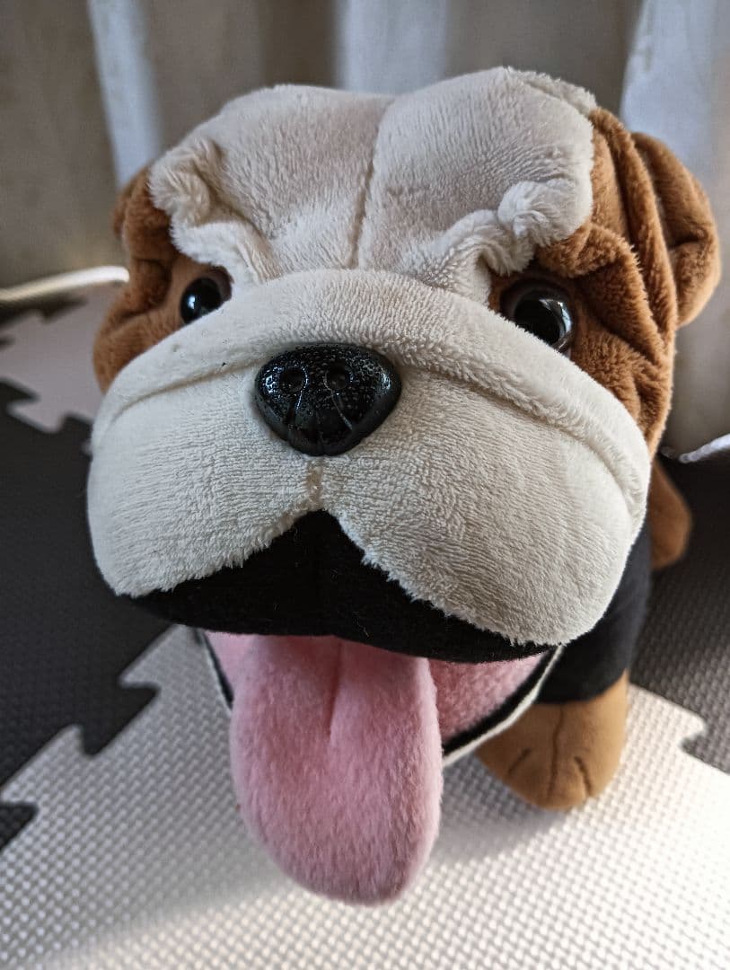 ミニクーパー スパイクくん