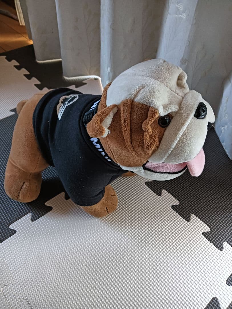 ミニクーパー スパイクくん