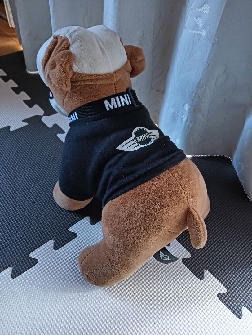 ミニクーパー スパイクくん