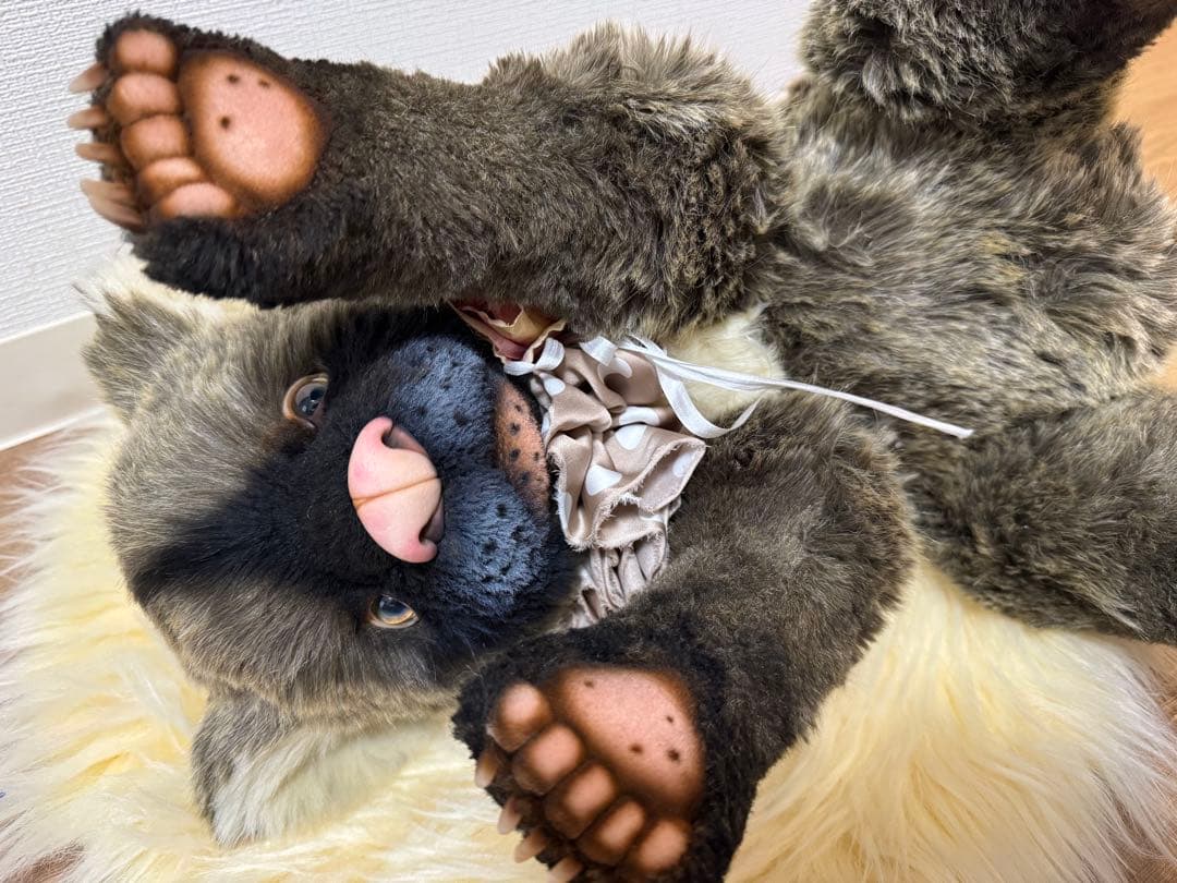 きつねうどん(プロフ必読)　テディベア2体セット