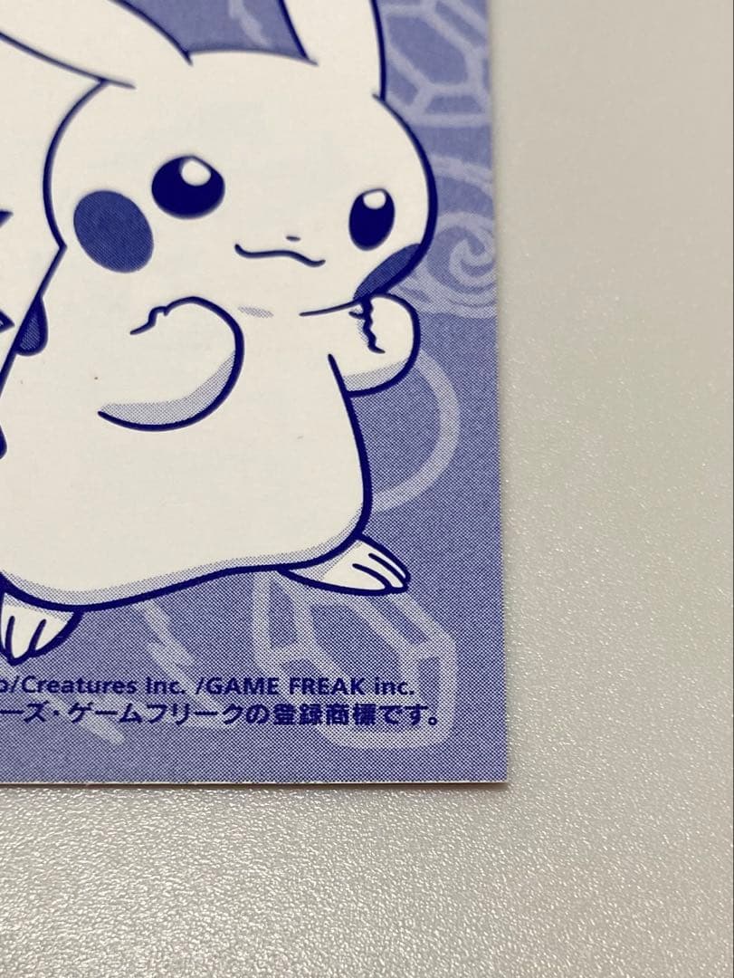 太*】様 ポケモン　ポンチョを着たピカチュウ 名刺カード メガリザードン