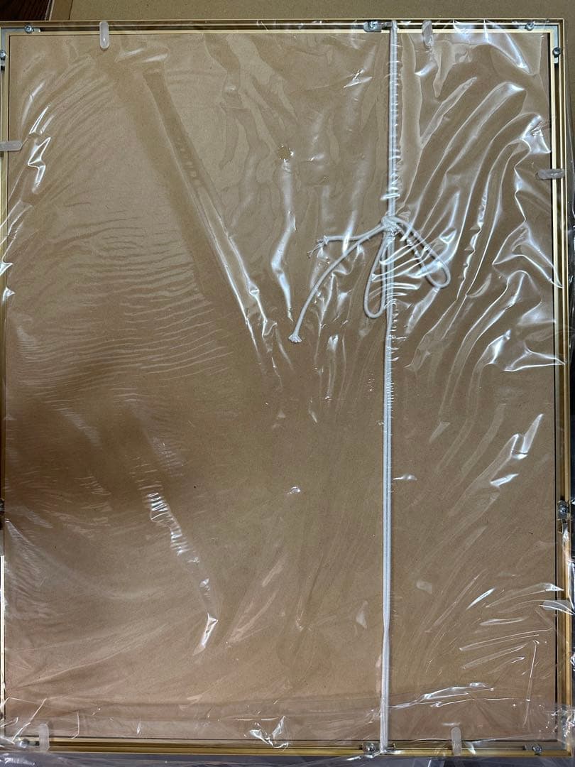 NARUTO ナルト高級複製原画　2009ジャンプフェスタ　美品　原画