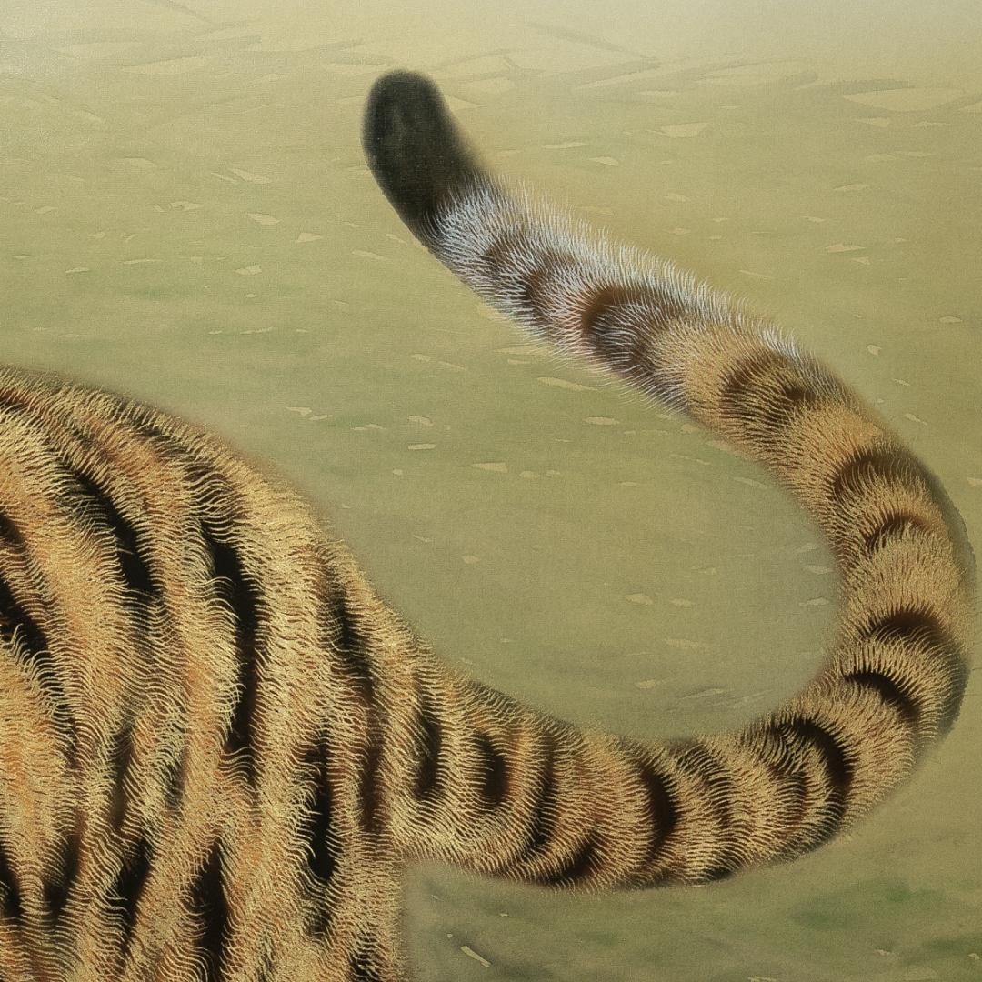 掛軸-1705　斎藤白揚　猛虎　共箱　総幅９７センチの大幅