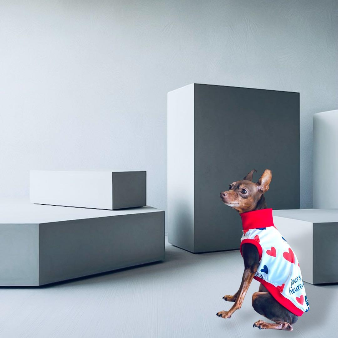 ⑰jours heureux original heart