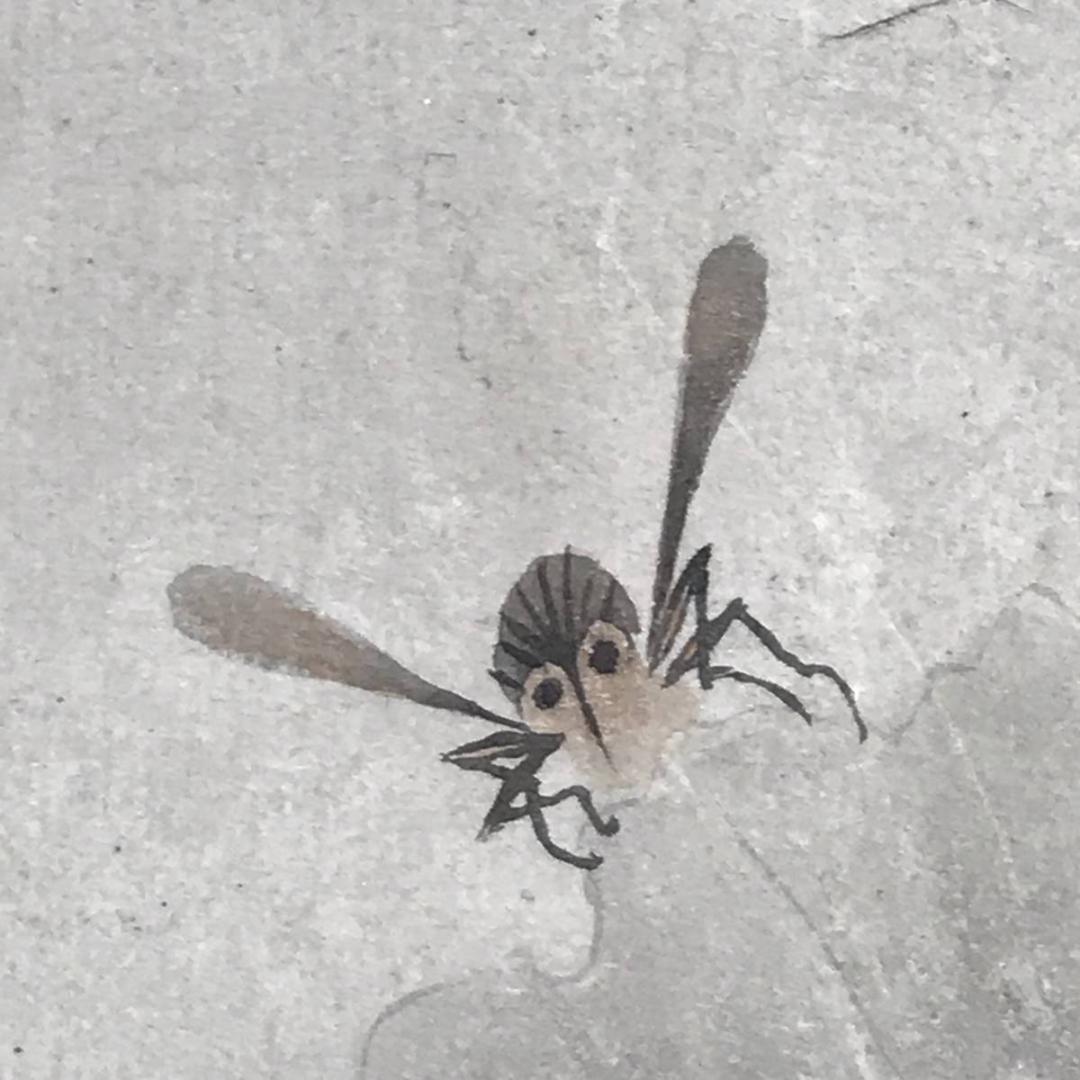 【真作】高橋草坪/疏園遊蜂図/野菜図/白菜図/掛軸/名家伝来/AD-38