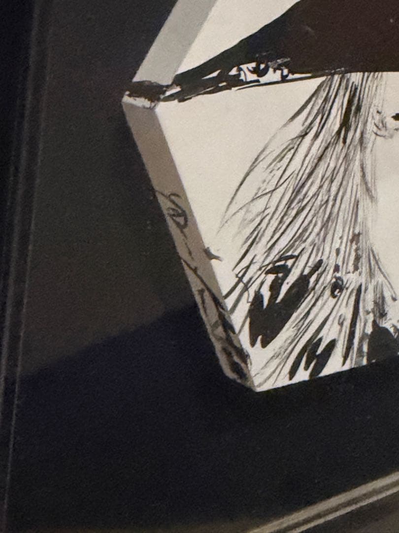 天野喜孝★オリジナル★バンパイアハンターD★ディサーニング★吸血鬼ハンターD