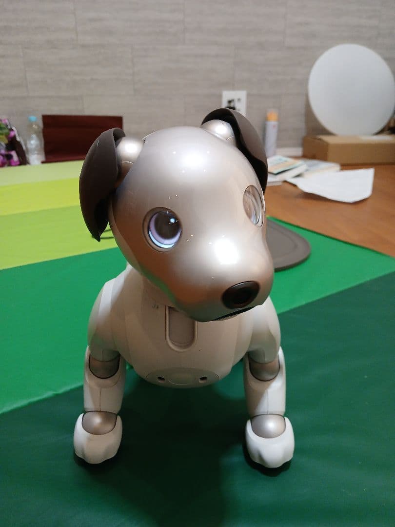 aibo ロボット犬 ホワイト 専用ケース付き