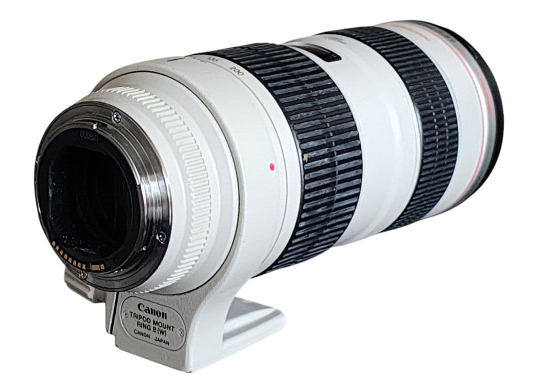 Canon キャノン EF 70-200/2.8 L USM ズームレンズ