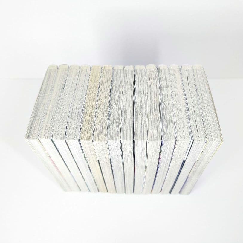 不滅のあなたへ 25巻 完結 全巻初版